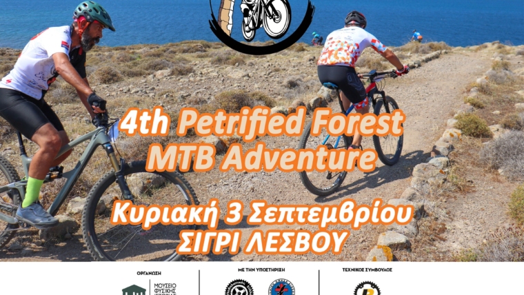 4o Petrified Forest MTB Adventure